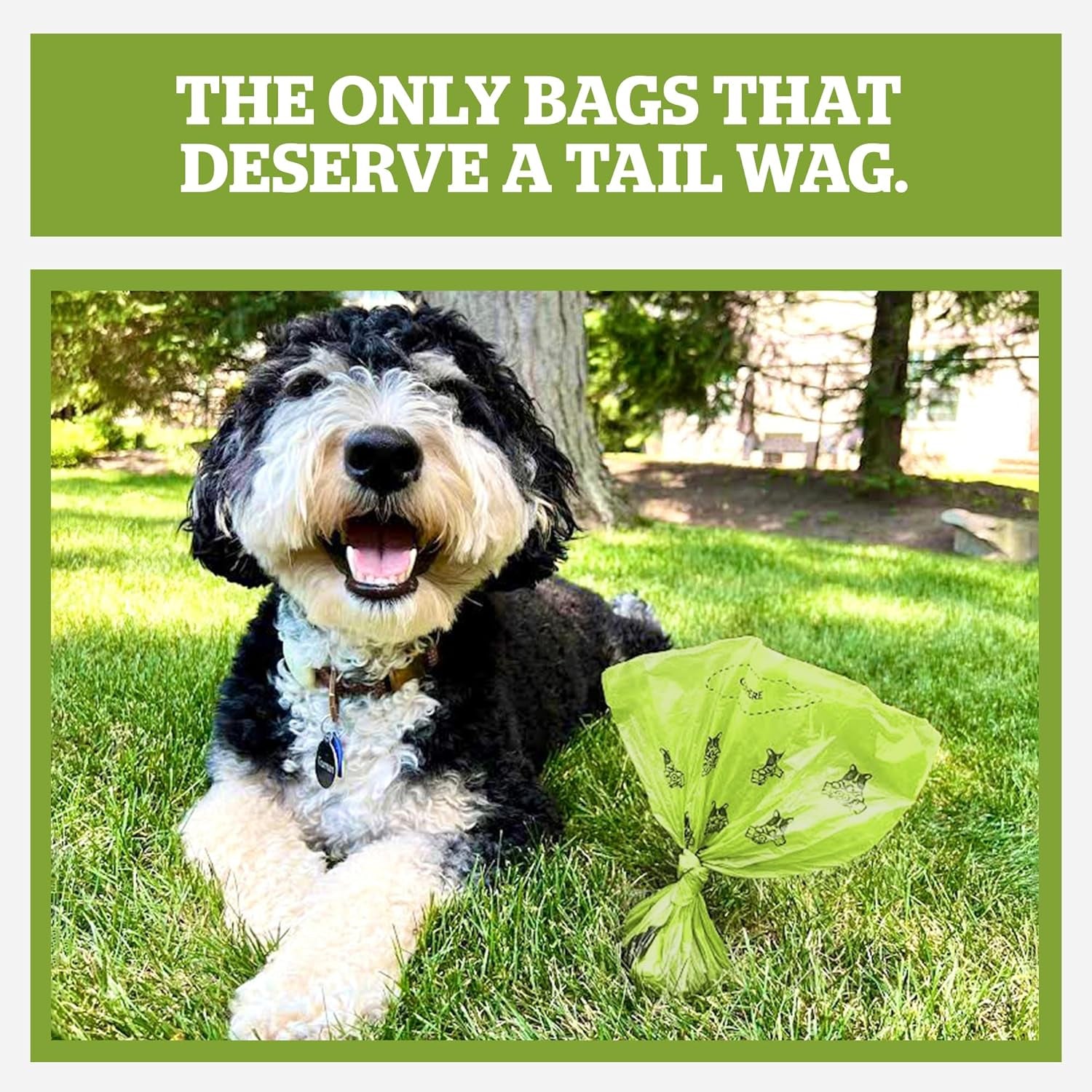 Pogi's Premium Leak-Proof Dog Waste Bags - Extra Thick, Fresh Scent, 150-Count (10 Rolls)