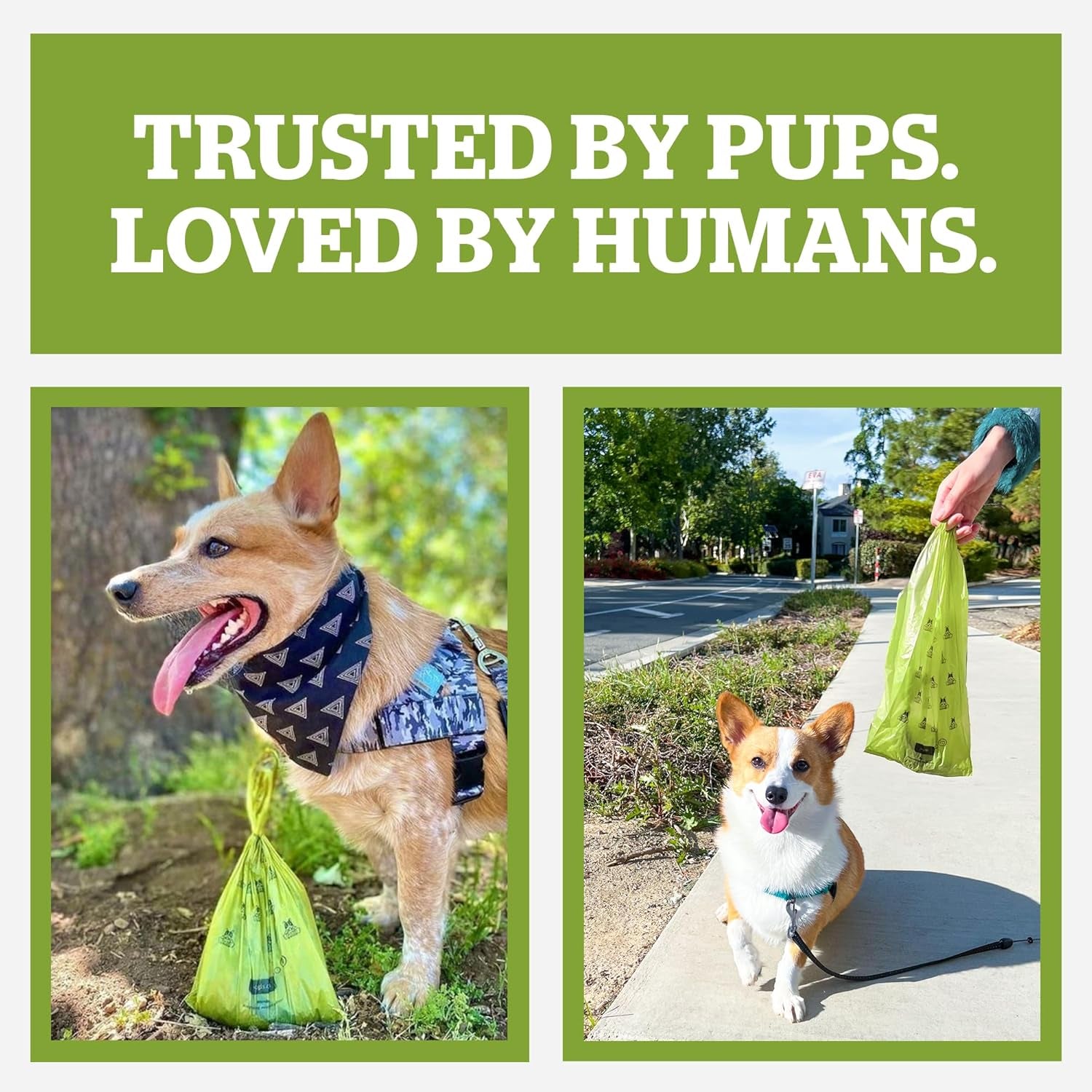 Pogi's Premium Leak-Proof Dog Waste Bags - Extra Thick, Fresh Scent, 150-Count (10 Rolls)